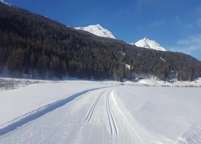 Daint Chasa Zanoli Whg Im Zweiten Stock Apartamento