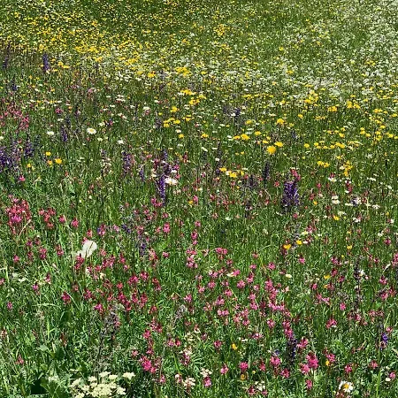 Daint Chasa Zanoli Whg Im Zweiten Stock *