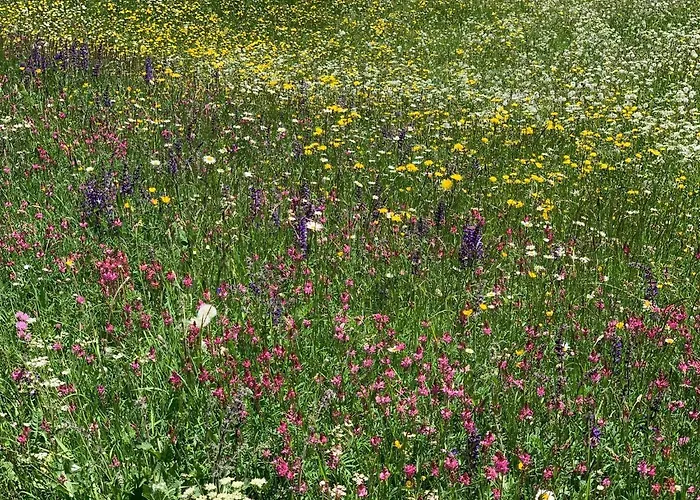 Daint Chasa Zanoli Whg Im Zweiten Stock *